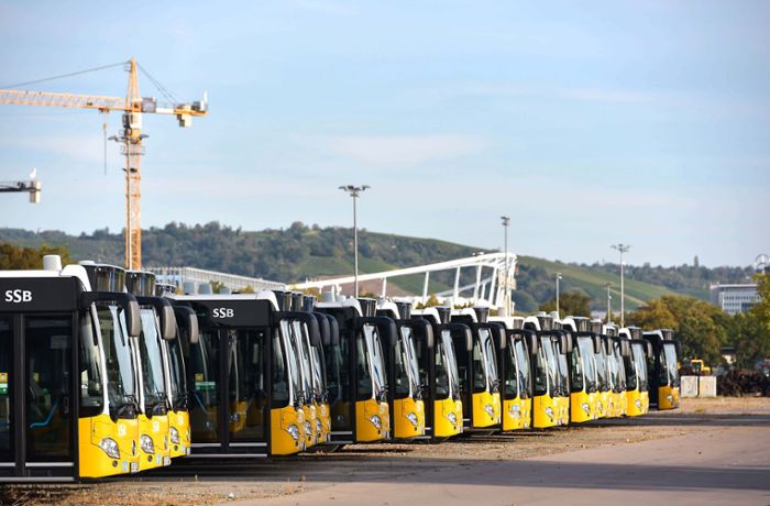Kritik am Mobilitätsgesetz: Zwang zu Öko-Omnibussen gilt als realitätsfern