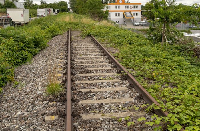 ÖPNV in Ludwigsburg: Stadtbahn-Beschlüsse eingetütet