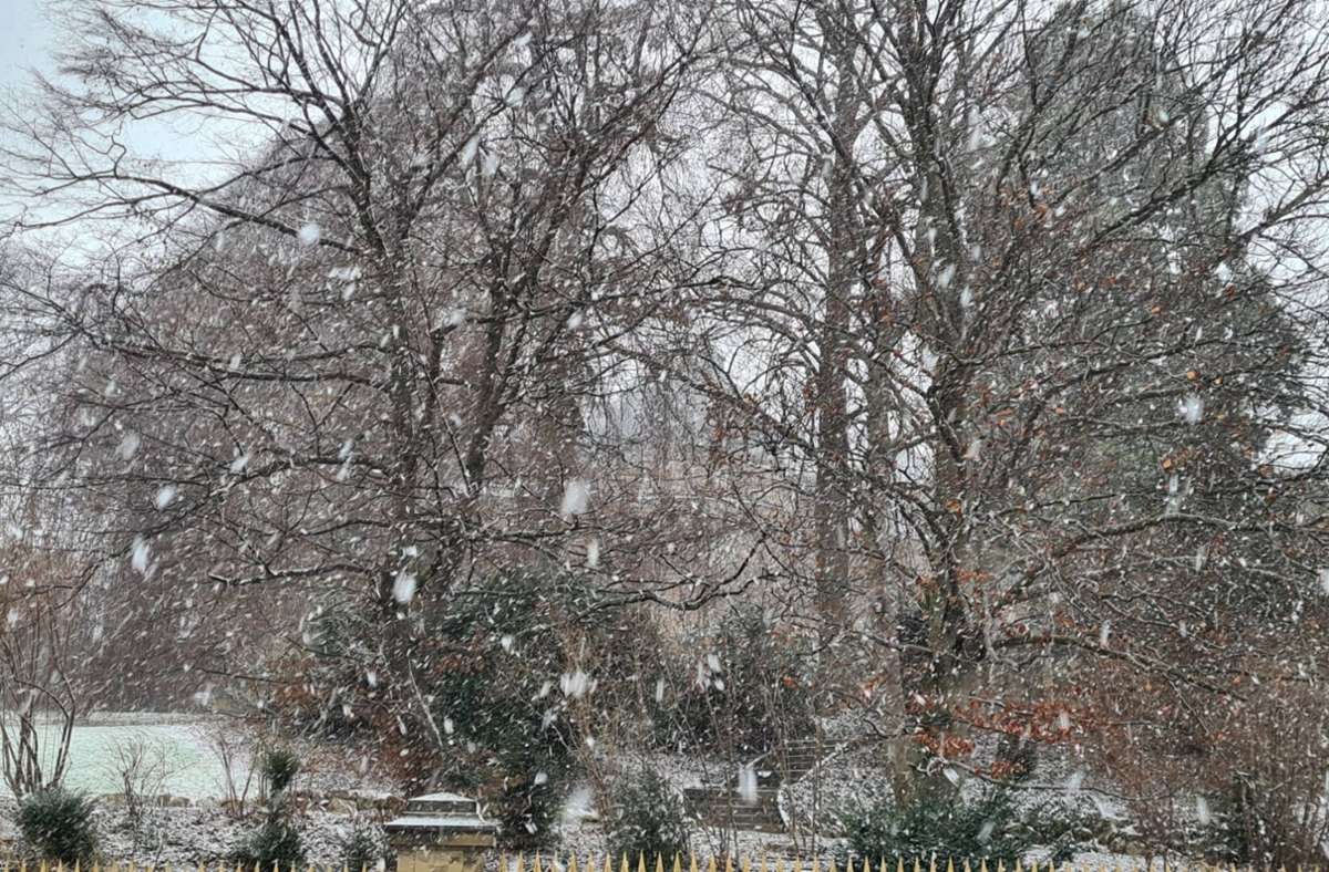 Am Vormittag setzte in Stuttgart heftiger Schneefall ein und bescherte ein erstes Wintererlebnis.