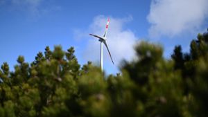 Mönsheim und die Windkraft: Sorge um Schutzgebiet wegen Windrädern