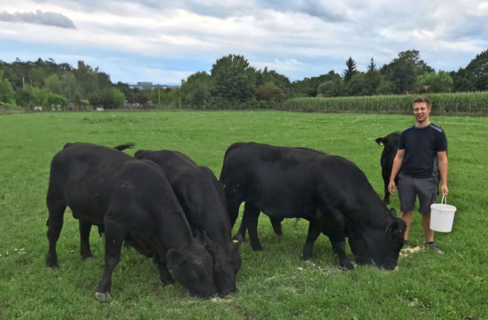 Rinderfarm in  Degerloch: Das Töten der Tiere gehört dazu