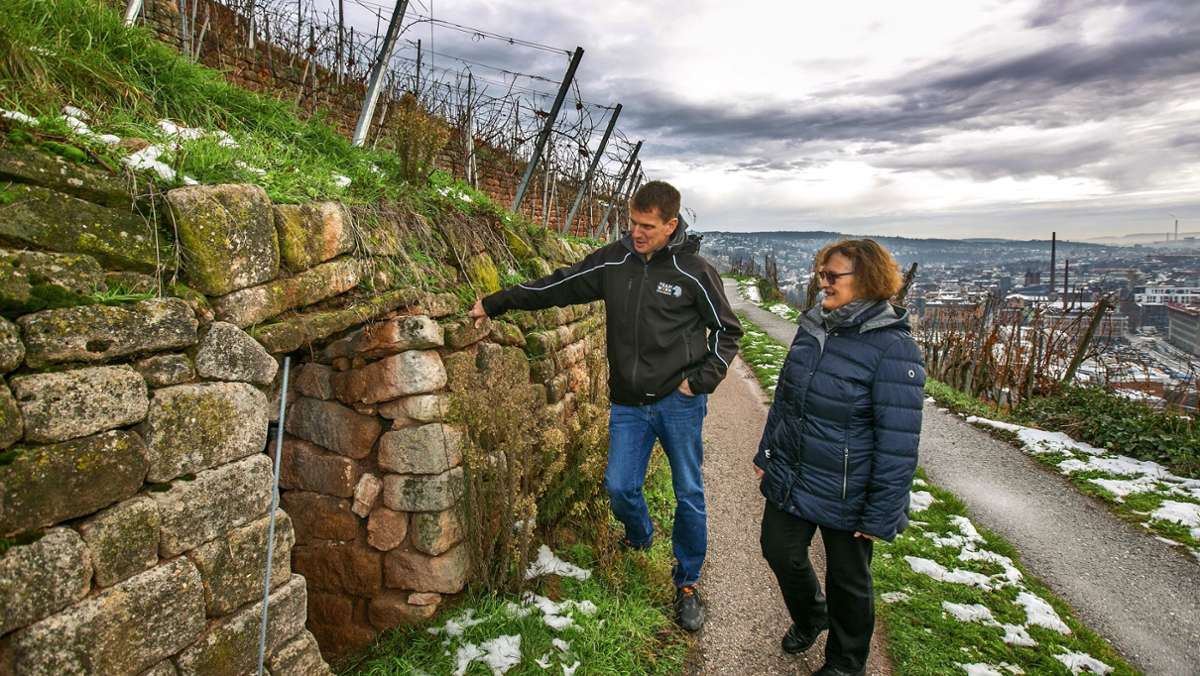 Graffiti zum Weinbau: Esslinger Weinberge sollen einen Farbtupfer erhalten
