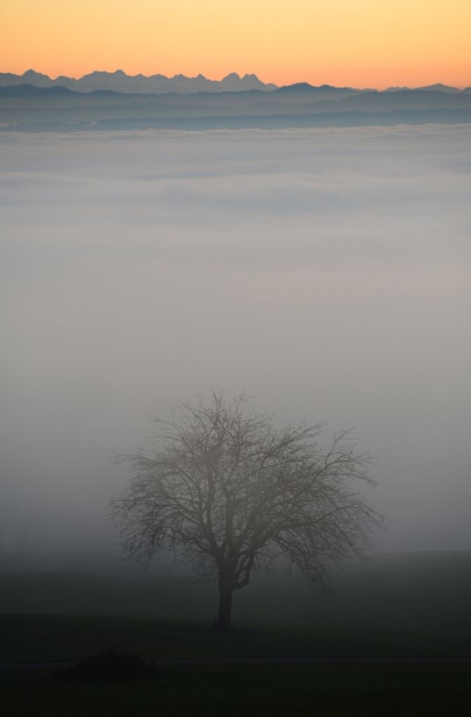 Nebel: Besonders trübe Aussichten gab es 1996 im Thüringer Wald. Dort war es bis zum 7. Mai 242 Stunden lang ununterbrochen neblig. Nie hielt sich ein Nebel in Deutschland länger.