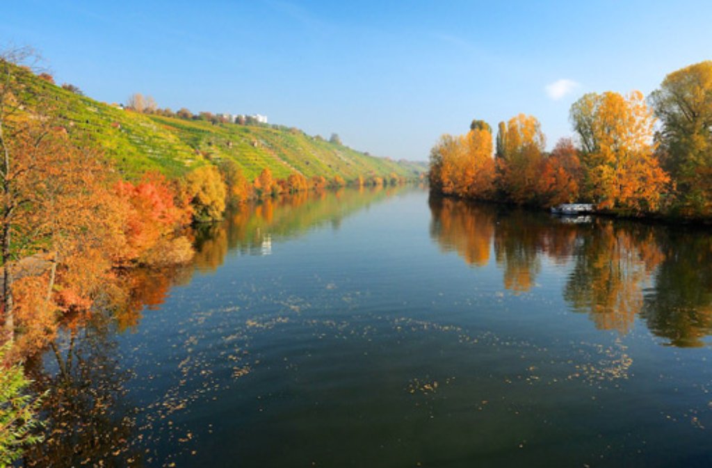 Die herbstlich gefärbten Hänge spiegeln sich im Neckar.