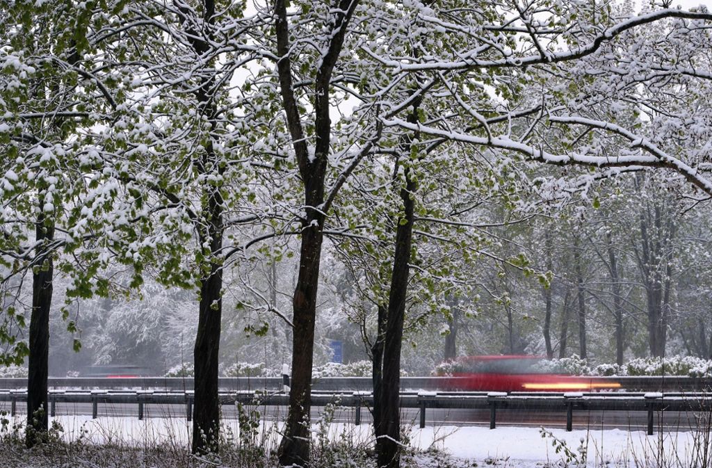 Wegen der Schneelast sind in der Nacht zum Mittwoch mancherorts in Baden-Württemberg Bäume umgefallen, Straßen waren blockiert.