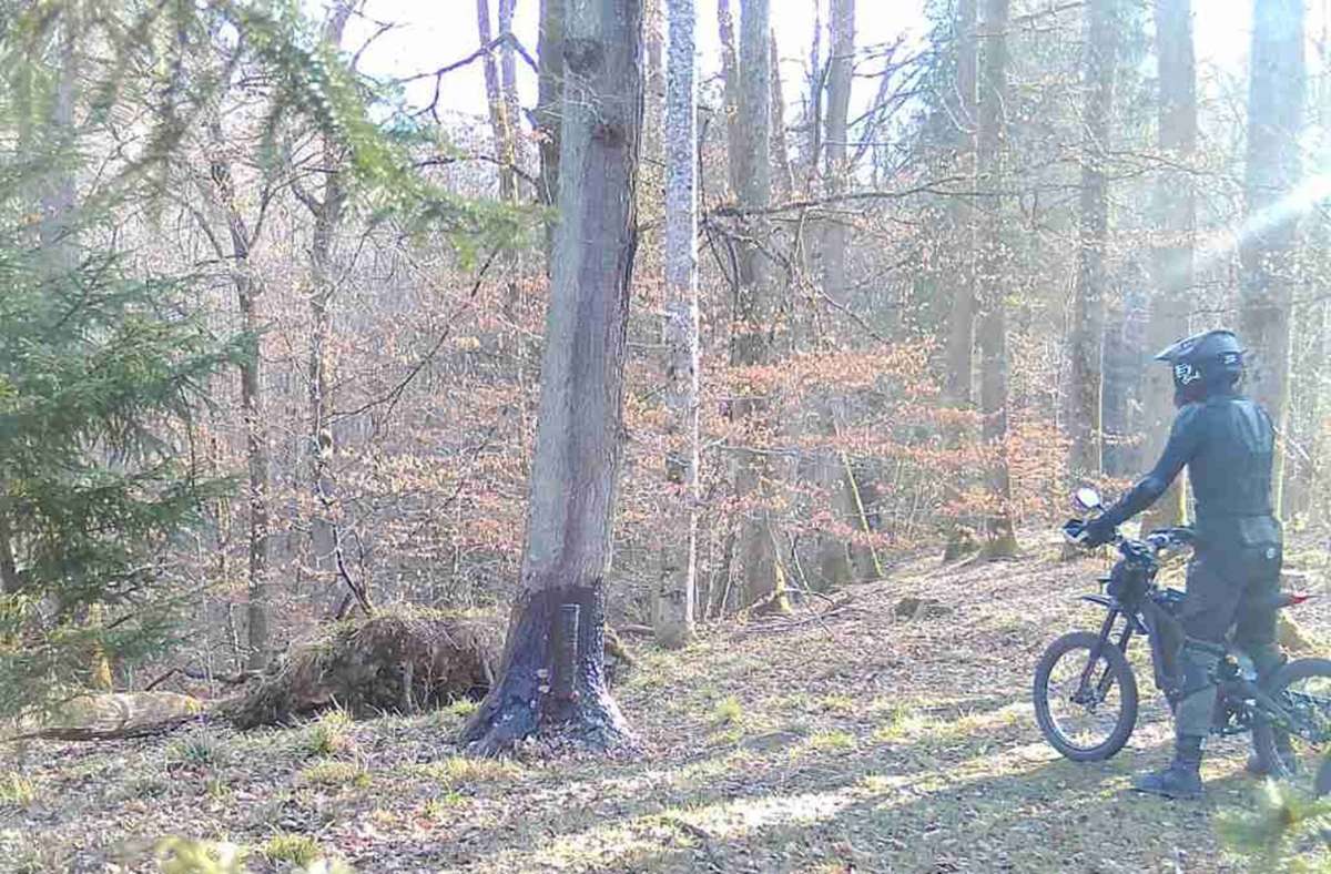 Sogar mit dem Motocross gehts es durch den Wald.