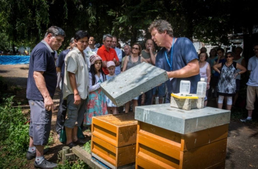 Thomas Kustermann stellt die Arbeit des Instituts für Bienenkunde vor.