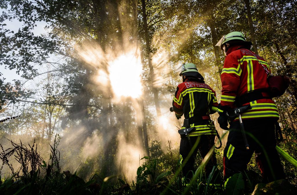 Feuerwehrmann: Fitness ist Grundvoraussetzung für einen Berufsfeuerwehrmann. Die Feuerwehr Nürnberg beispielsweise verlangt einen „Top-Gesundheitszustand“: sehr gutes Sehvermögen, Schwindelfreiheit, Mindestkörpergröße von 1,65 Meter und Atemschutztauglichkeit.