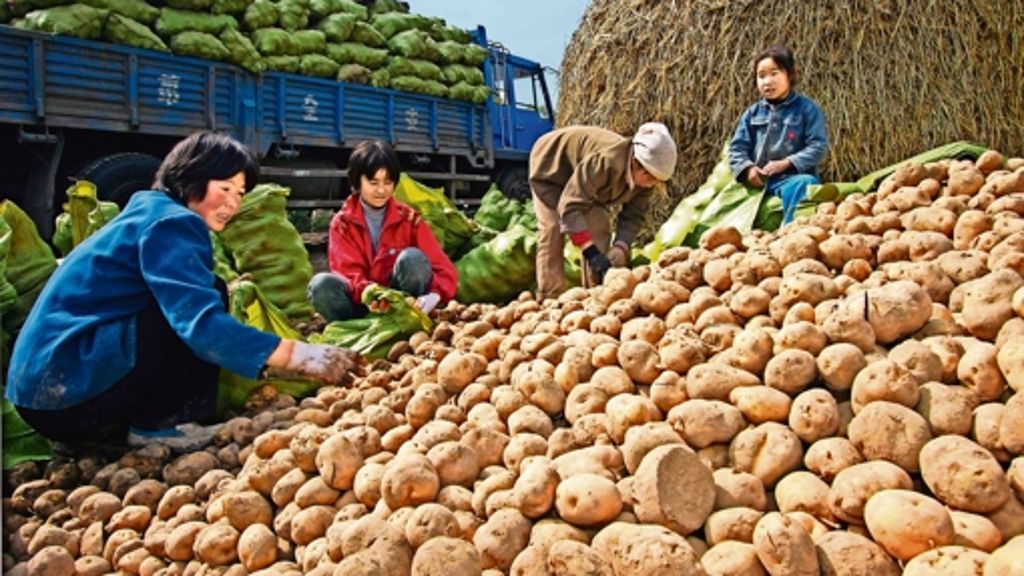 Landwirtschaft: China gibt den Kartoffelbefehl