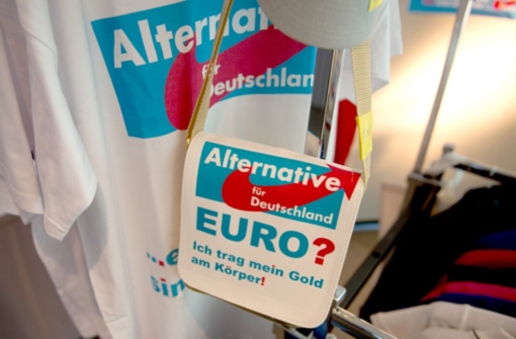 Am 14. April veranstaltet die eurokritische Alternative für Deutschland (AfD) ihren Gründungskongress in Berlin. Sie ist die größte Unbekannte in diesem Wahlkampf. Schafft sie es in den Bundestag oder nicht?