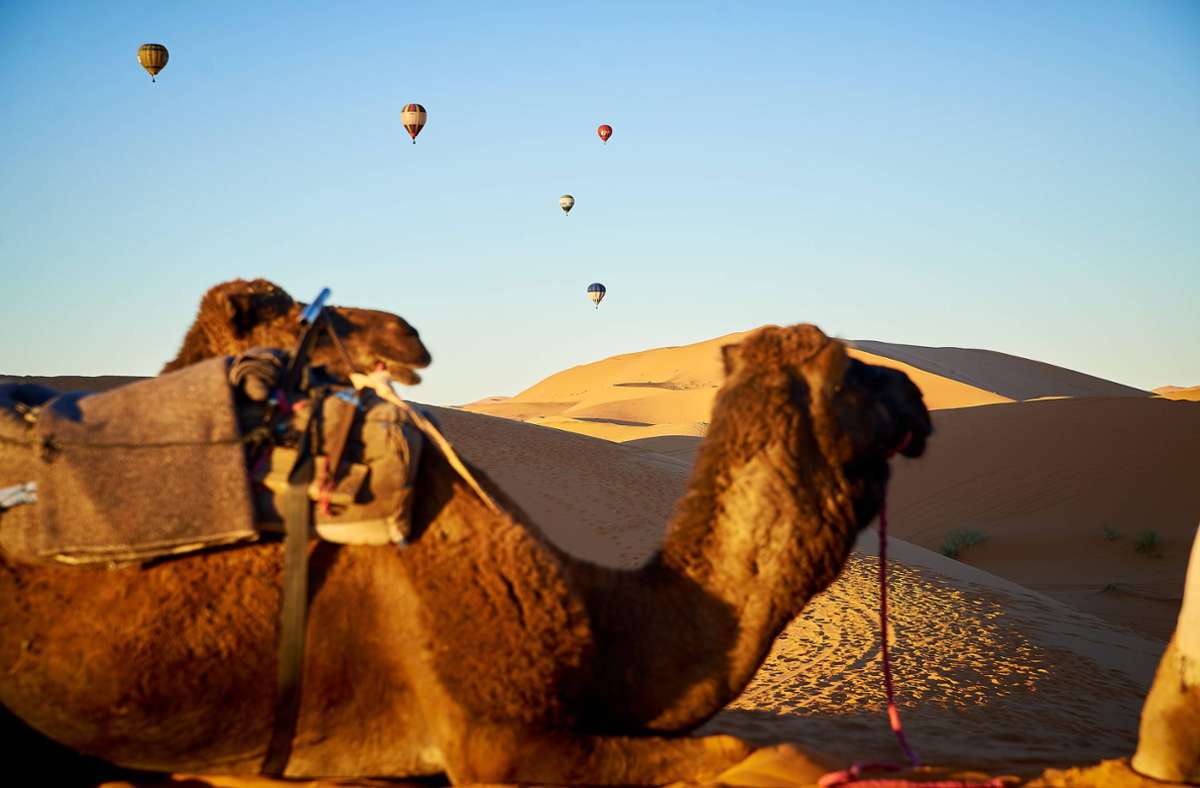 Sanddünen in der Sahara Wüste in Ägypten.