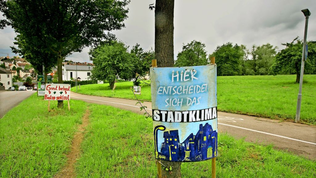 Kaltluftschneise in Esslingen: Umwelthilfe setzt sich für das Greut ein