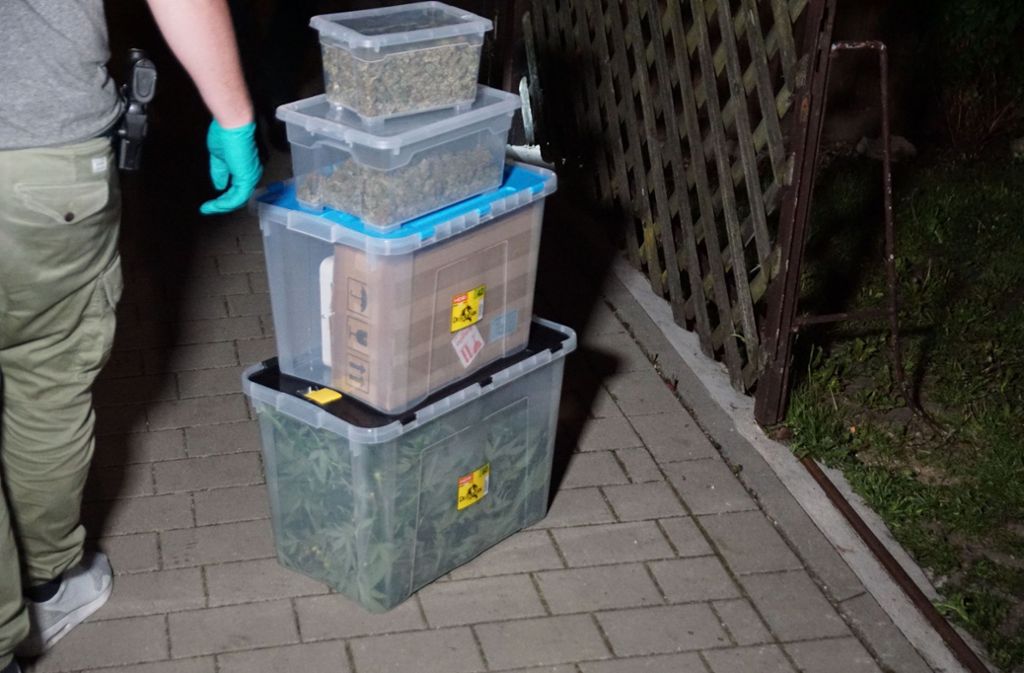 Die Polizei stellte eine Cannabisplantage mit rund hundert Pflanzen sicher.