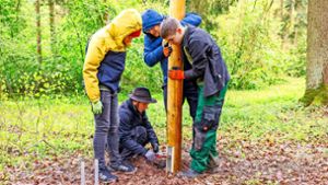 Walderlebnispfad in Böblingen: Einsatz für den guten Zweck mitten im Wald