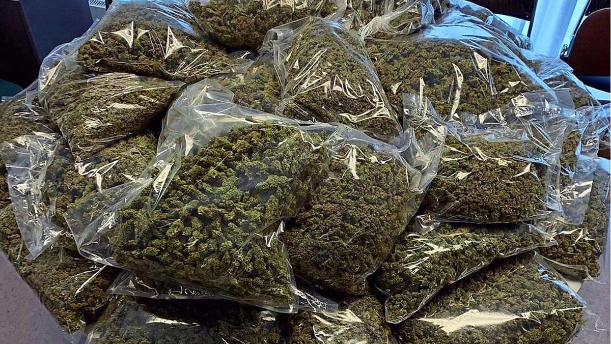Festnahme in Stuttgart: Vier Dealer mit 42 Kilo Marihuana gefasst - Stuttgart - Stuttgarter Zeitung