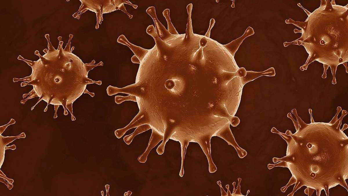  Die globale Wissenschaftsgemeinde widerspricht vehement Gerüchten in den sozialen Netzwerken. Dort kursiert derzeit die Behauptung einer chinesischen Virologin, das Coronavirus sei von China in einem Labor hergestellt und absichtlich freigesetzt worden. 
