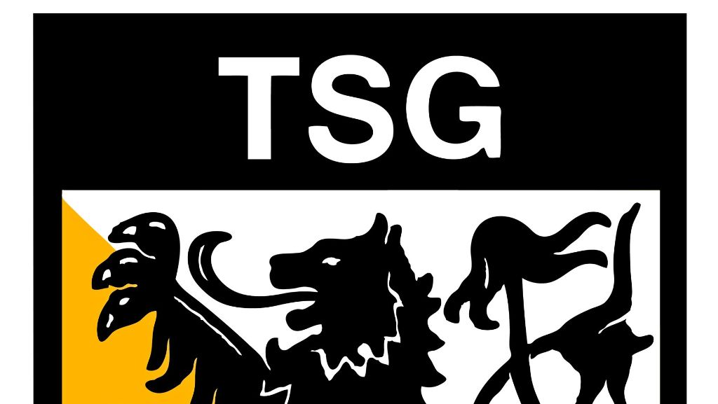 Leonberg: Schaal: Erst das TSG-Gelände bebauen
