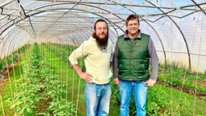 Start-up aus Nürtingen: Lokara vernetzt die Landwirtschaft mit den Abnehmern