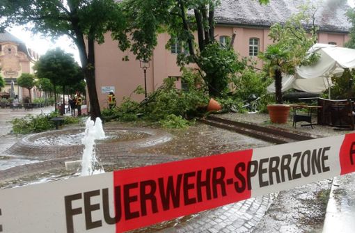In Rastatt ist ein Baum bei einem Gewitter umgefallen. Foto: dpa/Henry Mungenast