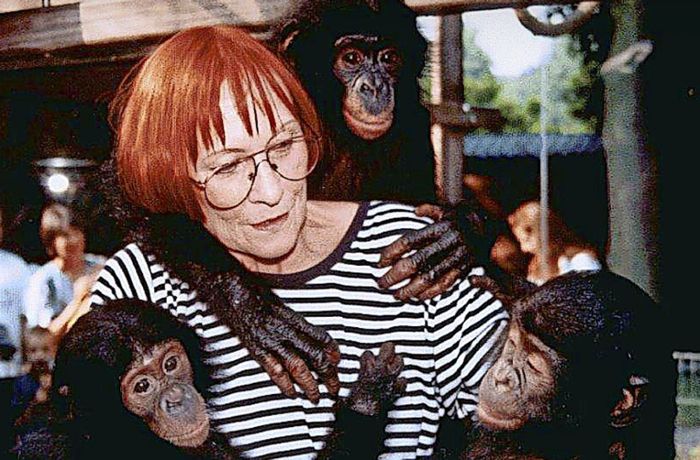 Die Tierpflegerin, die ihre Wohnung mit Affenbabys teilte