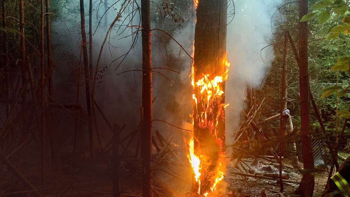 Brandgefahren in Stuttgart: Gerüstet für den nächsten Waldbrand?