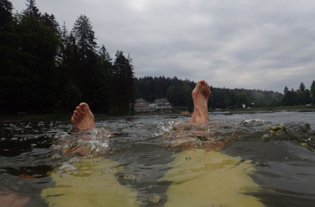 Die Perspektive des Schwimmers im Ebnisee