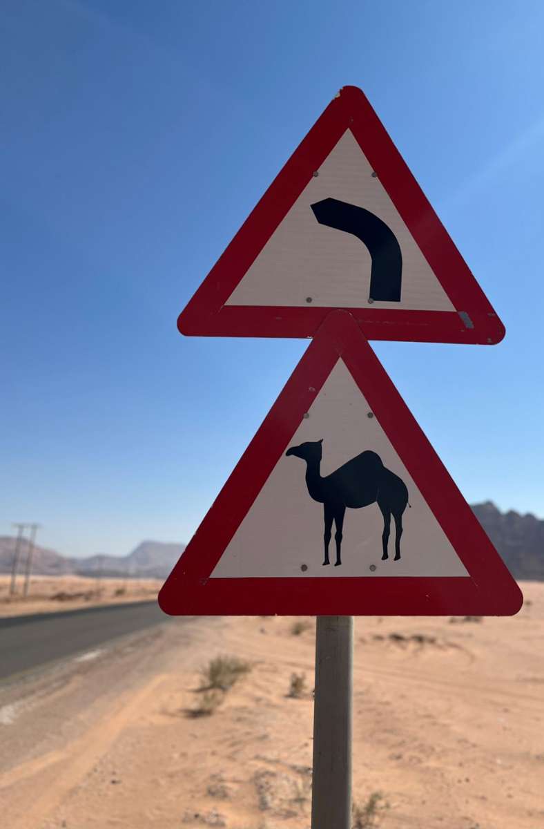 Vorsicht, Kamele!