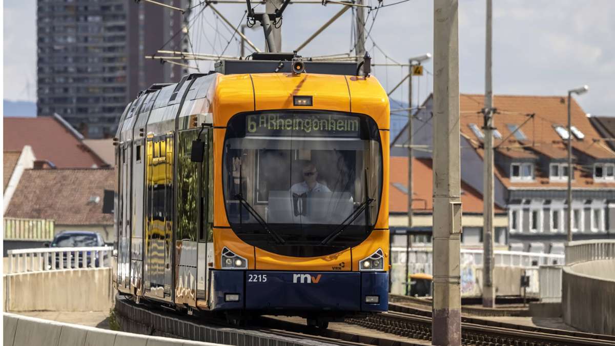 Ostern in Mannheim: Unbekannte werfen Tannenbaum  auf Straßenbahn
