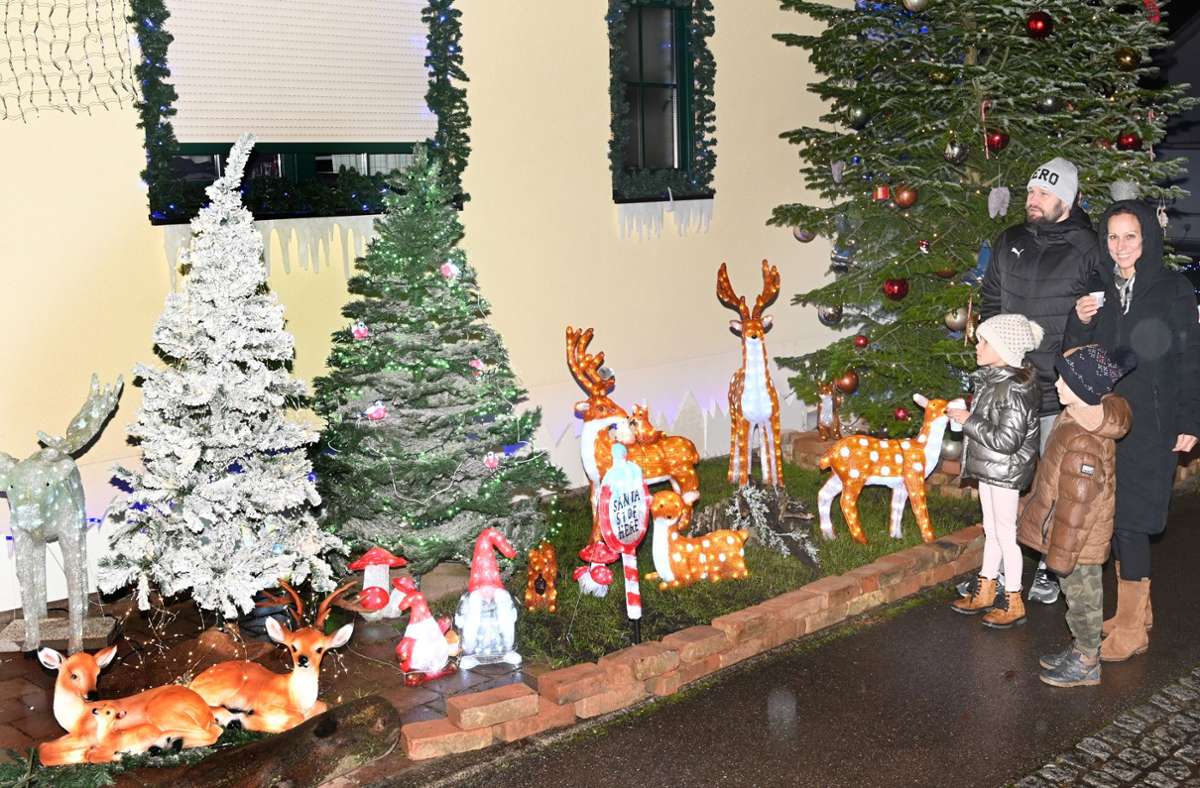 Weitere Eindrücke vom Weihnachtshaus in Erdmannhausen