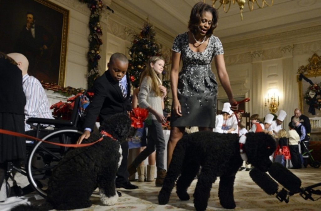 Auch die First Dogs Sunny (rechts) und Bo (links) waren dabei, als First Lady Michelle Obama das weihnachtlich geschmückte Weiße Haus präsentierte.