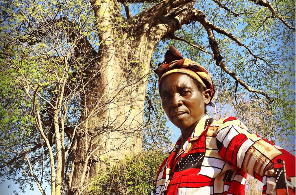 Die alleinerziehende Mutter Esther Kathumba sammelt säckeweise die Früchte des Baobab – und wird gut dafür bezahlt.