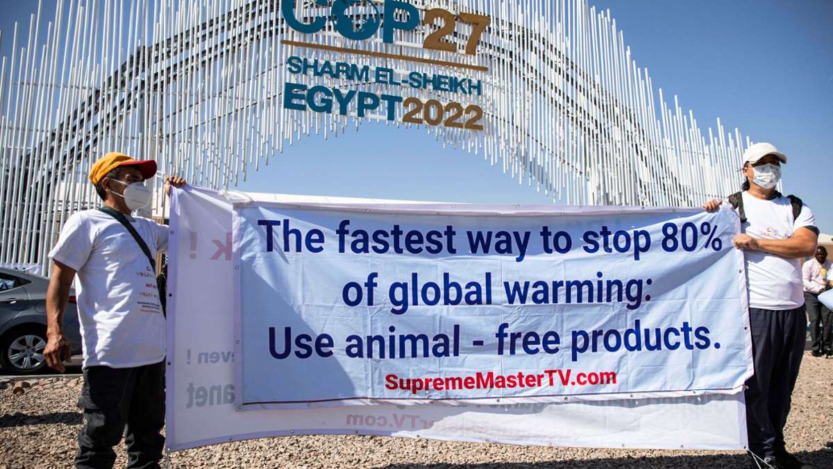 Weltklimakonferenz COP 27: Scharm el-Scheich färbt sich grün