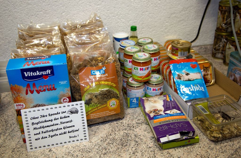 Die Kosten für Futter und Tierarzt übernimmt der Tierschutzverein Esslingen.