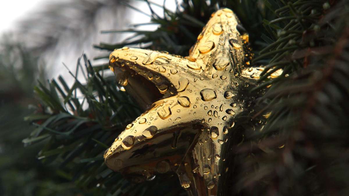 Wärmstes Weihnachten, größter Baum und Co.: Sieben außergewöhnliche Weihnachtsrekorde