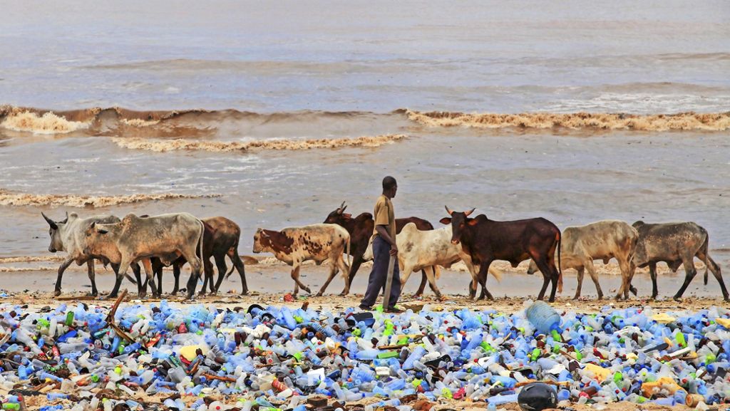 EU plant Verbot: Gegen ein Meer aus Plastikmüll