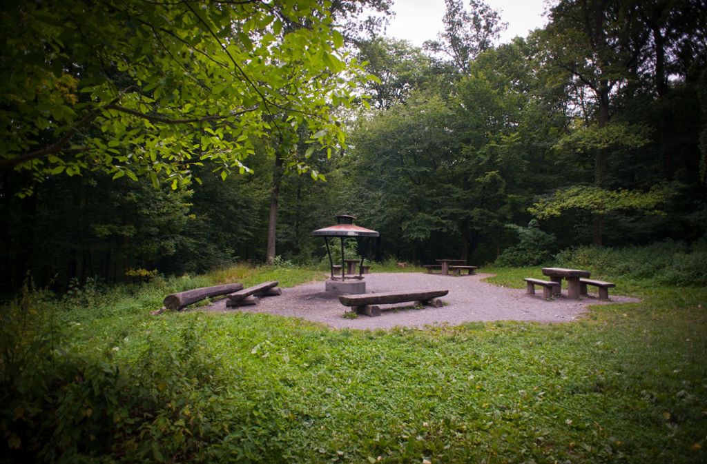 Die Grillstelle am Kräherwald ist ein Kandidat für Open-Air-Veranstaltungen auf öffentlichem Boden. Sie sollen nicht kommerziell sein und eine Lücke in Stuttgarts Nachtleben schließen.