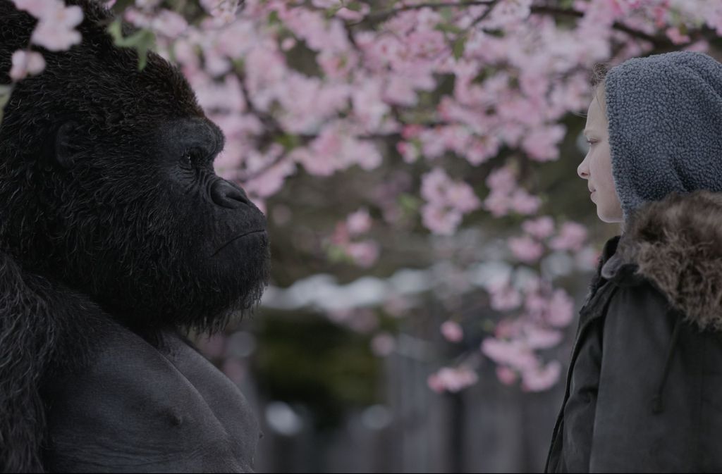 Der Gorilla Luca und das stumme Mädchen Nova (Amiah Miller) erleben einen freundschaftlichen Moment.