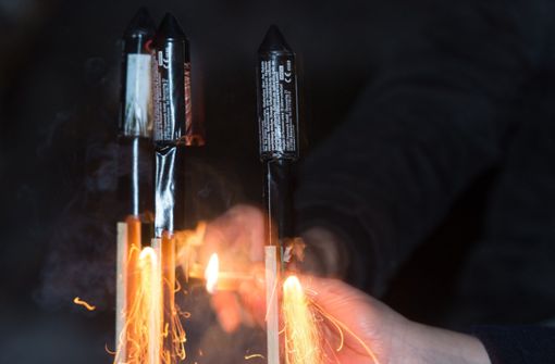 Geht es nach mehreren Tier- und Umweltschutzvereinen sowie Ärzteverbänden, soll privates Feuerwerk nicht mehr gekauft werden dürfen. Foto: dpa/Patrick Seeger