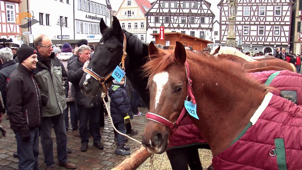 Leonberg: Der Pferdemarkt 2015