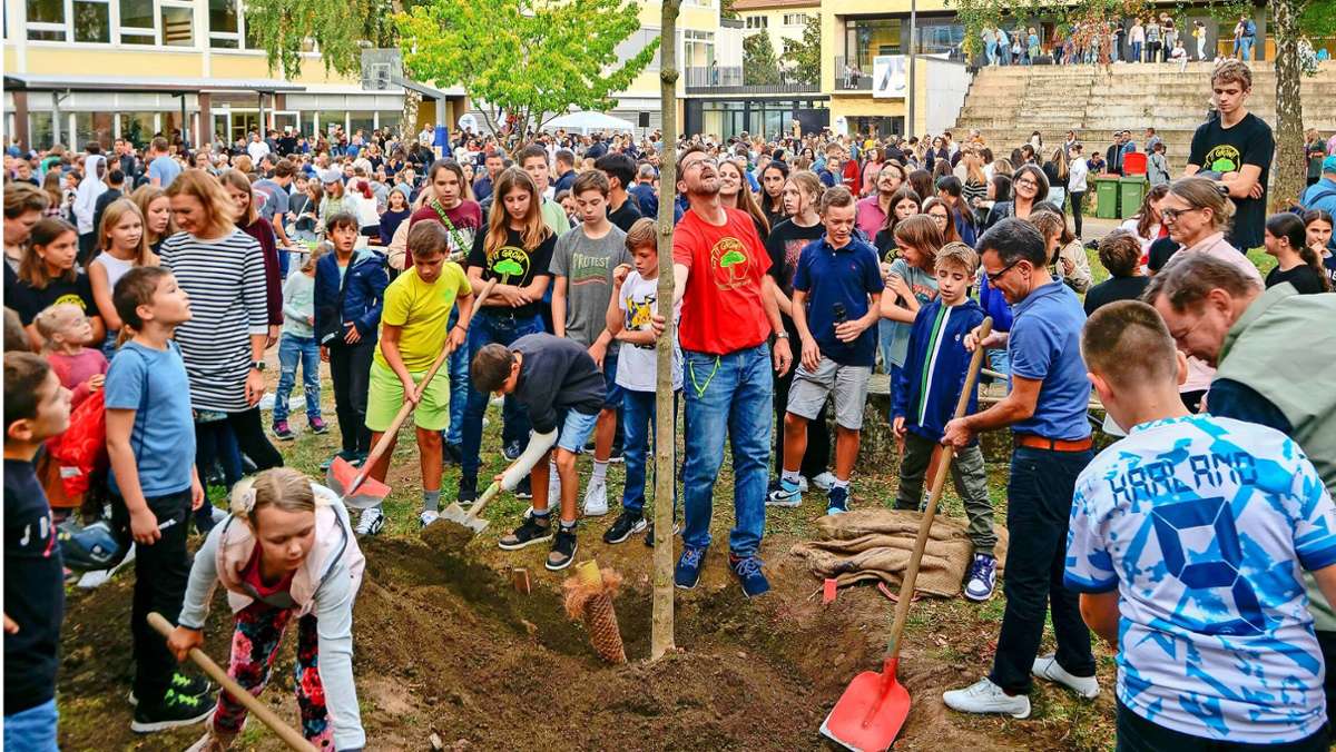 Ernst-Sigle-Gymnasium in Kornwestheim: 75 Bäume zum Schuljubiläum