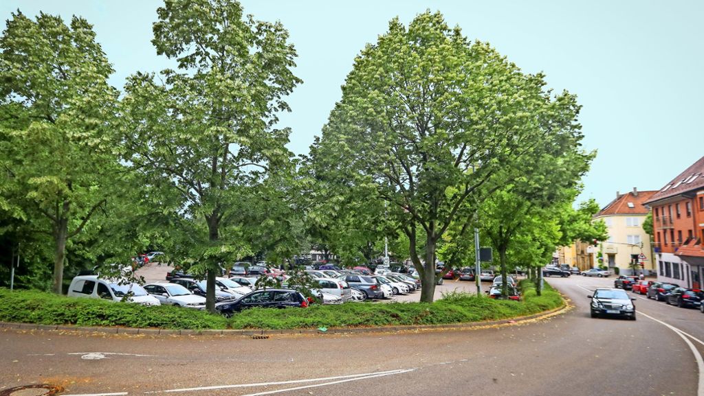 Streit um das Bauprojekt Kallenberg’sches Areal in Ludwigsburg: Anwohner kämpfen um 40 Bäume