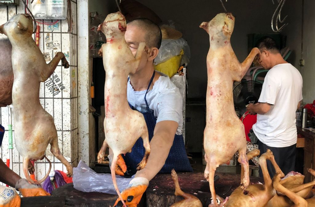 Ganz anders sieht es in China aus. In Yulin beginnt am Donnerstag das „Dog Meat Festival“ (Hundefleisch-Fest).
