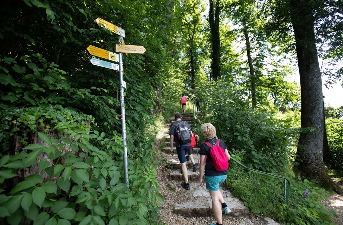 Der Fußweg vom Tal zum Reußenstein ist etwas für geübte Wanderer.