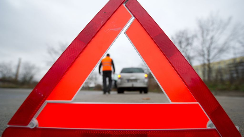 A8 im Kreis Göppingen: Tierliebe Autofahrer sorgen für Gefahr auf der Autobahn