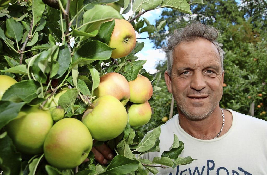 Safterei In Stuttgart Uhlbach Apfelernte Beginnt Deutlich Fruher