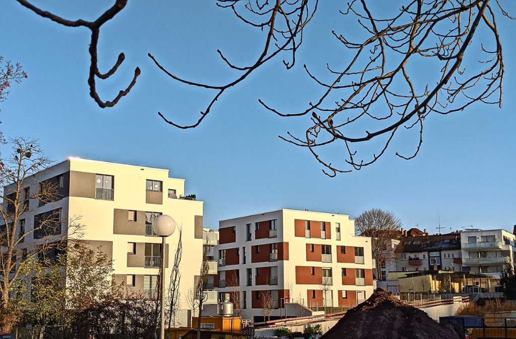 Auf dem Grundstück rechts neben den neuen Stadthäusern soll frühestens ab Mitte 2020 der geplante Gesundheitscampus entstehen. Foto: Jürgen Brand