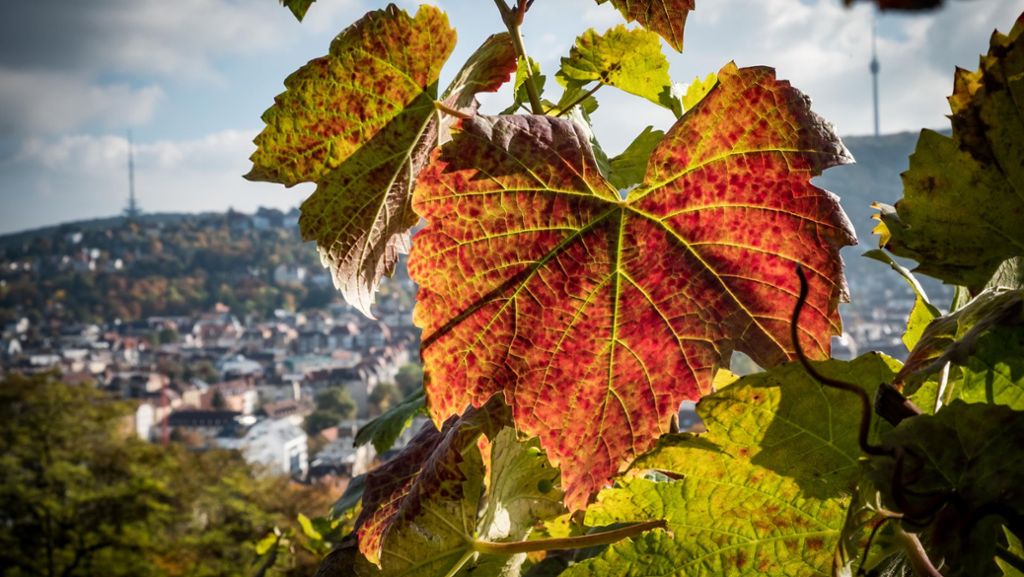 Herbst in Stuttgart: Tipps für sonnige Stunden im Herbst