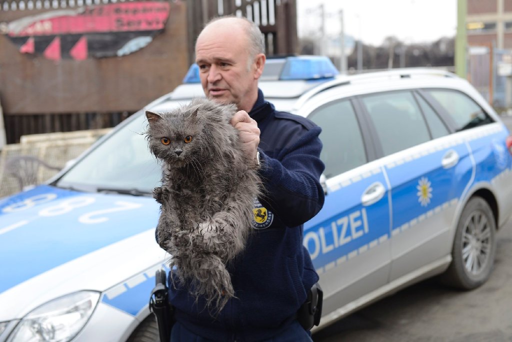 Lothar Hubl vom Tiernotdienst der Stadt Stuttgart mit der Katze, die vermutlich über Tage in einem Altkleidersack steckte.