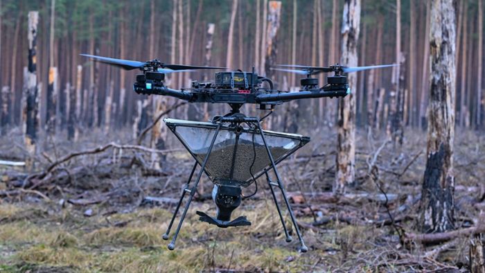 Neuer Wald aus der Luft? Drohne wirft Baumsamen ab