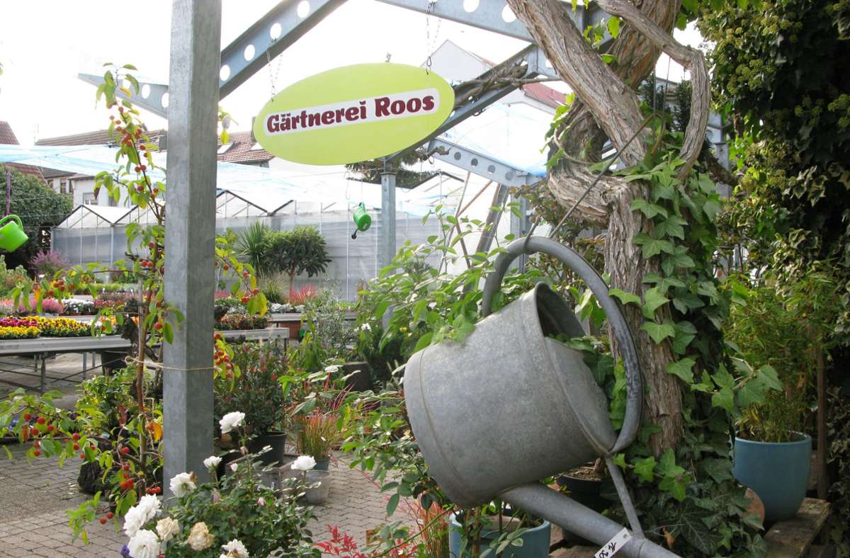Die Gärtnerei Roos Fellbach eine grüne Oase in der Innenstadt hört auf.